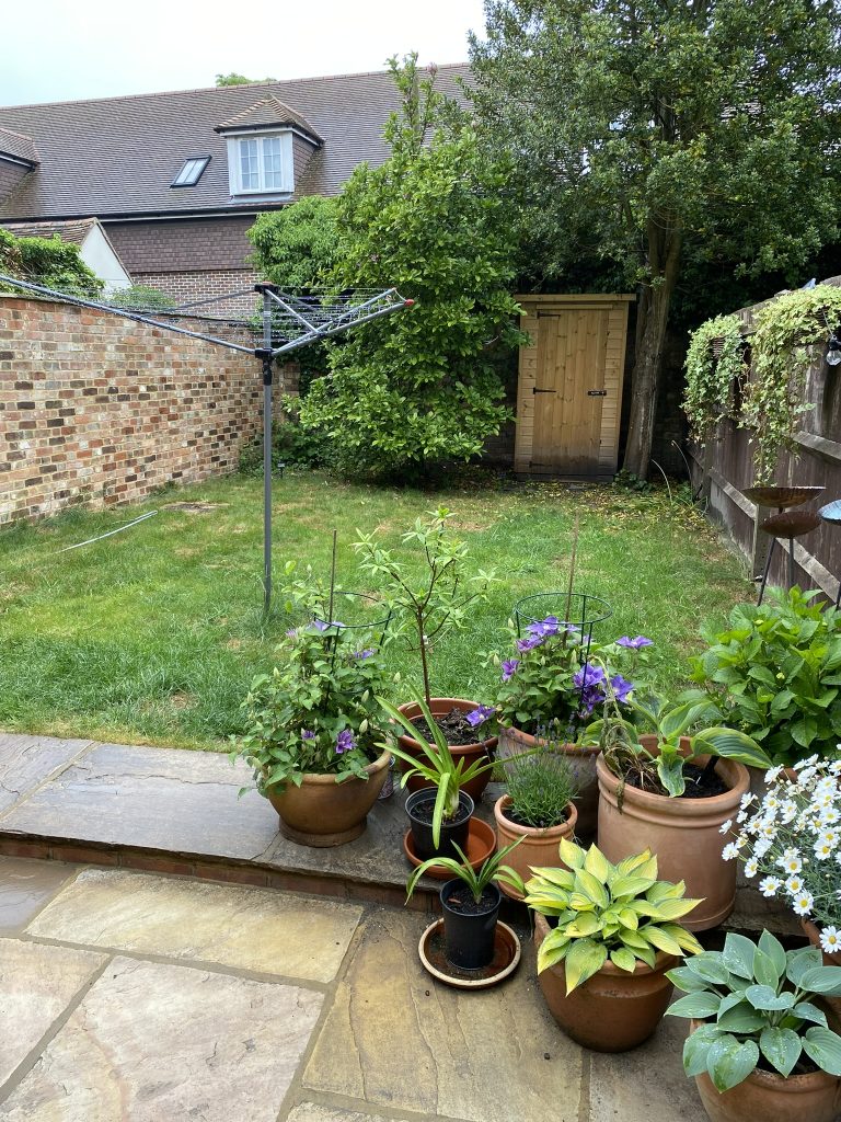 Cottage courtyard garden before landscaping